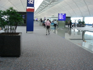 香港国际机场-山花地毯