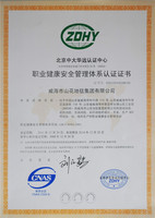 ISO18001：2001-2011